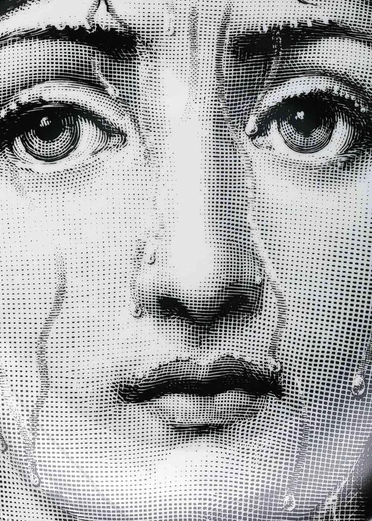 商品FORNASETTI|Fornasetti Tema e Variazioni n°243 Wall Plate,价格¥1216,第3张图片详细描述