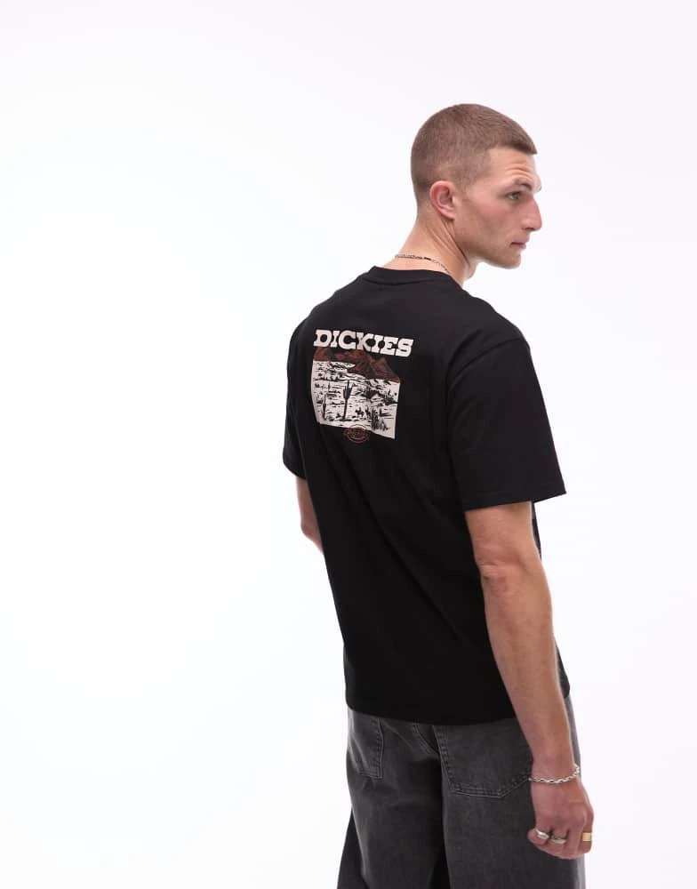 商品DICKIES|Dickies landscape graphic back print t-shirt in black,价格¥235,第3张图片详细描述