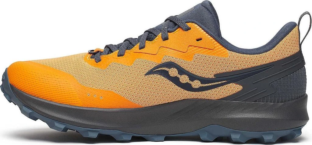 Peregrine 14 Gtx Shoes - Men's 商品