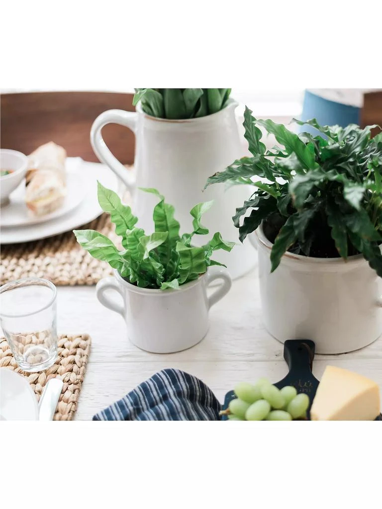 Small Terracotta Olive Jar Planter 商品