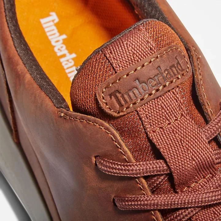 Bradstreet Ultra Trainer for Men in Brown 商品