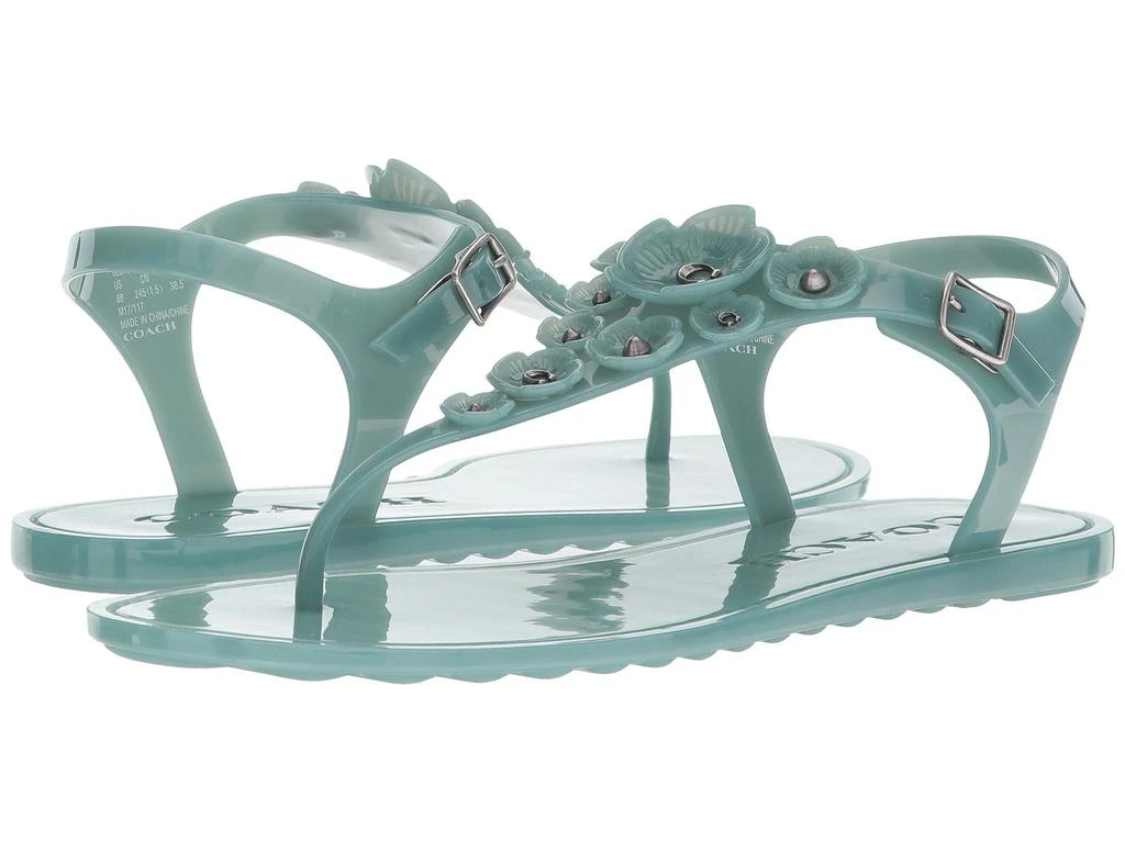 商品Coach|Tea Rose Jelly Sandal,价格¥443,第1张图片