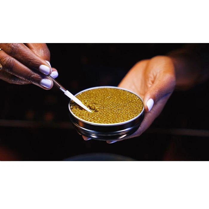 Nefertiti Caviar (Golden Kaluga Hybrid) 商品