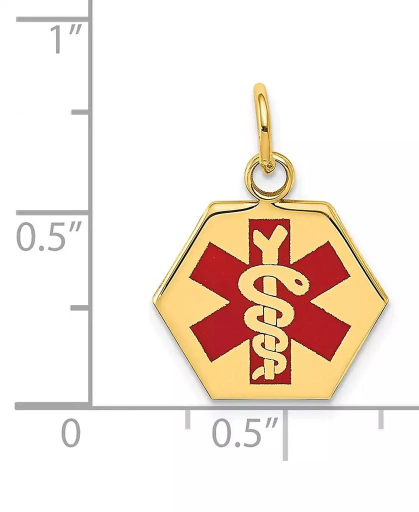 商品Macy's|Medical Info Hexagon Charm Pendant in 14k Gold,价格¥2244,第4张图片详细描述