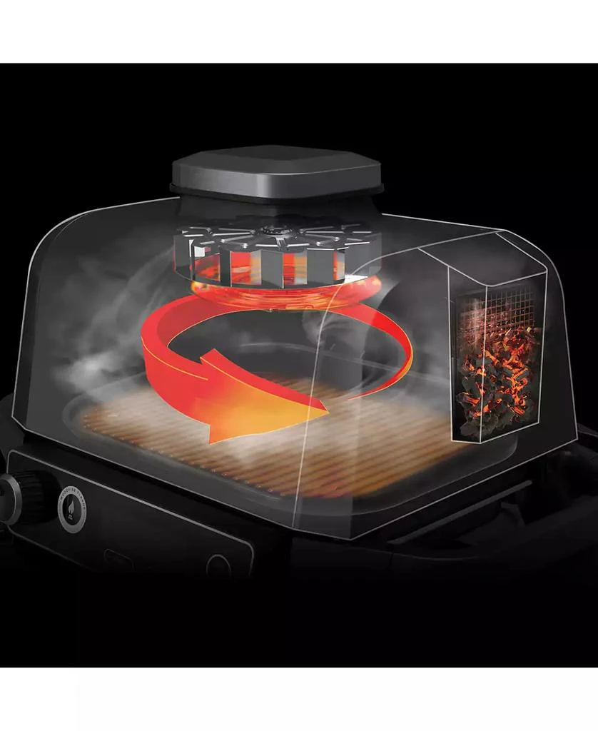 Woodfire Outdoor Grill & Smoker, 7-in-1 Master Grill, BBQ Smoker and Air Fryer with Woodfire Technology - OG701 商品