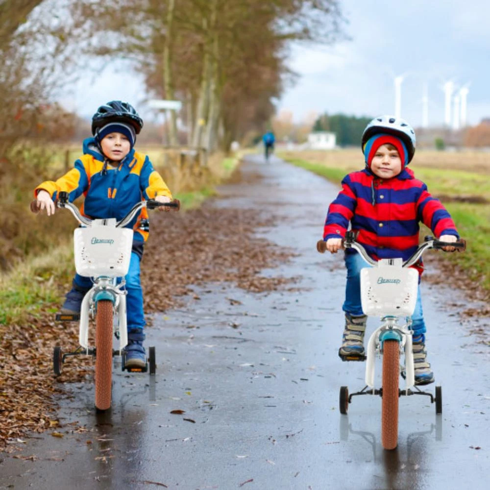 商品Hivvago|12 Inch Kids Bike Adjustable with Removable Basket for 3-4 Years Old-12 inches,价格¥1130,第2张图片详细描述