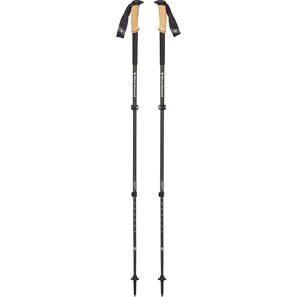 商品Black Diamond|Black Diamond Alpine Carbon Cork Trekking Pole,价格¥1668,第1张图片