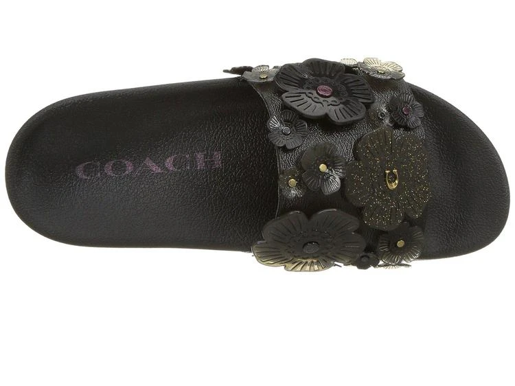 商品Coach|Sophi Slide with Tea Rose,价格¥585,第2张图片详细描述