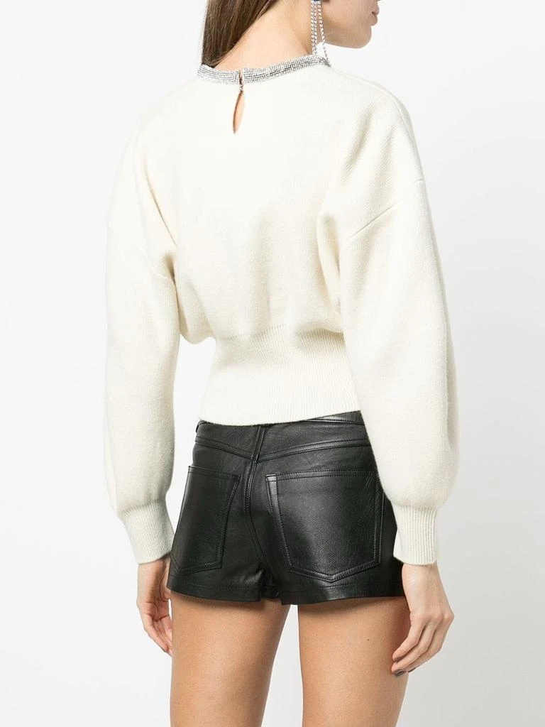 商品Alexander Wang|ALEXANDER WANG WOMEN PULLOVER WITH CRYSTAL TUBULAR NECKLACE,价格¥3211,第2张图片详细描述