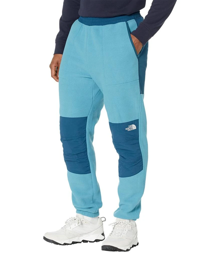 商品The North Face|Denali 2 Pants,价格¥418,第1张图片