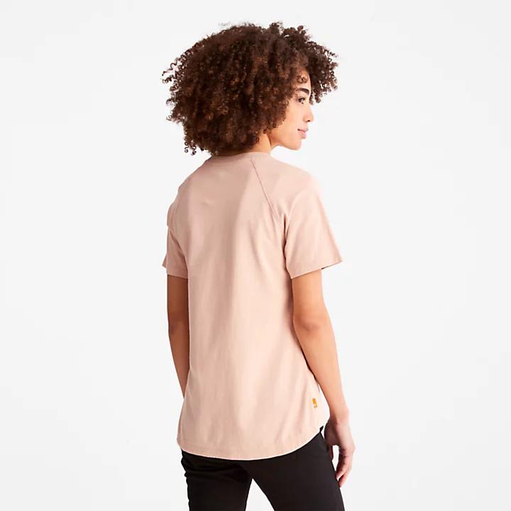 Raglan-sleeve Logo T-Shirt for Women in Light Pink商品第2张图片规格展示