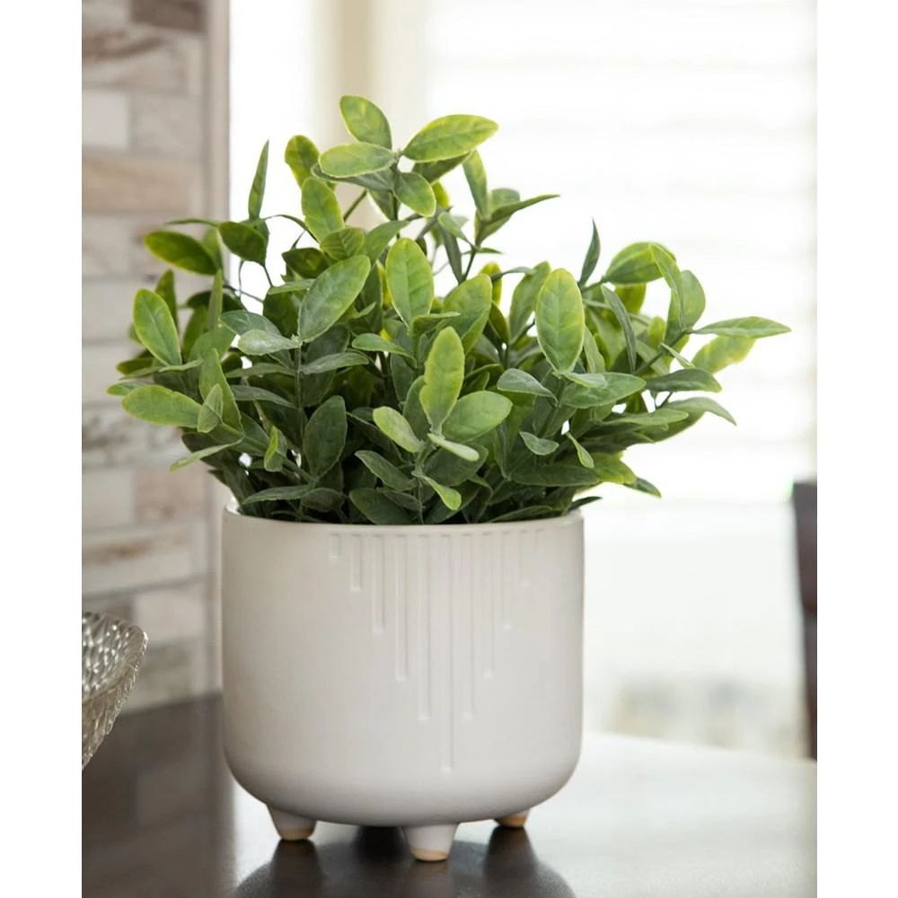 商品Flora Bunda|Tea Leaf in White Cascade Footed Pot, 6.5",价格¥471,第3张图片详细描述