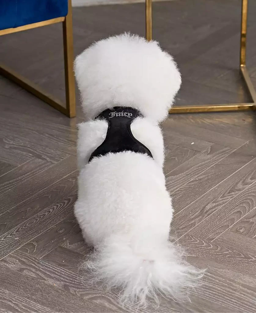 商品Juicy Couture|Bling Velour Pet Harness and Leash 2 Piece Set, Extra Small,价格¥38,第3张图片详细描述