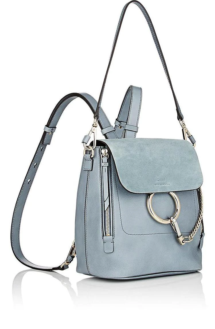 商品Chloé|Faye Small Backpack,价格¥8188,第3张图片详细描述