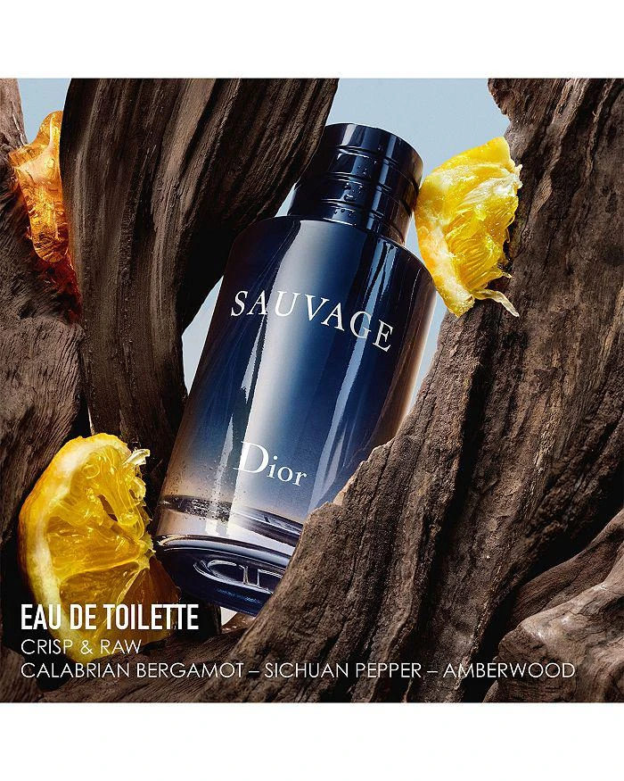 商品Dior|Sauvage Eau de Toilette,价格¥510,第4张图片详细描述