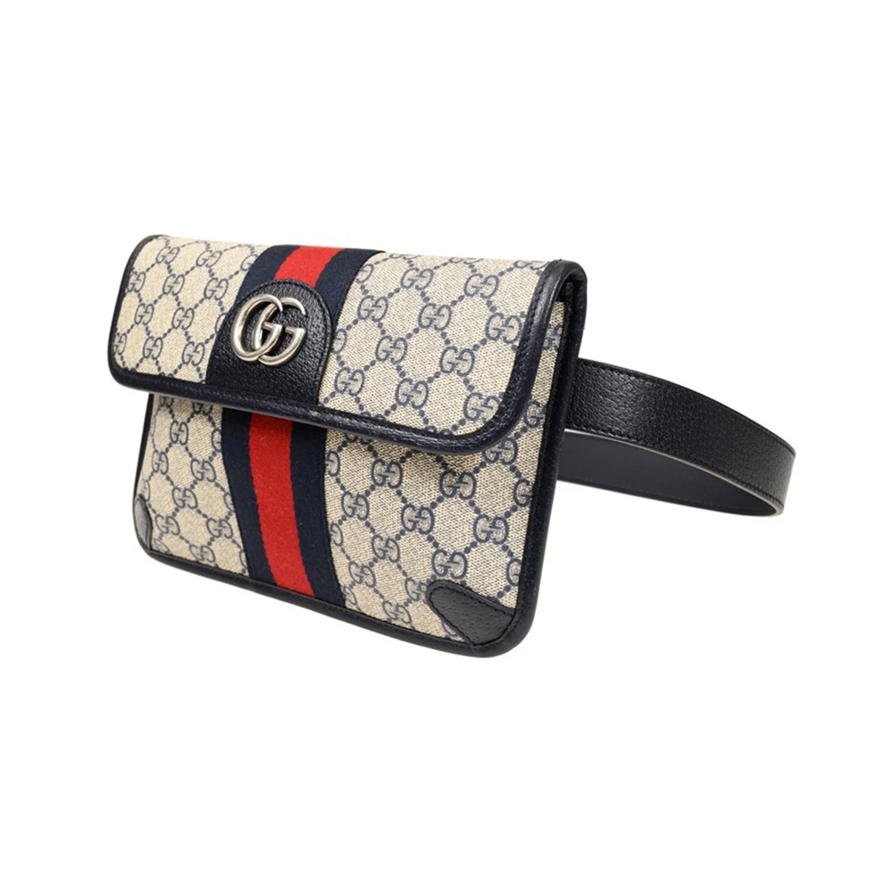 GUCCI 拼色女士腰包 674081-96IWN-4076 商品