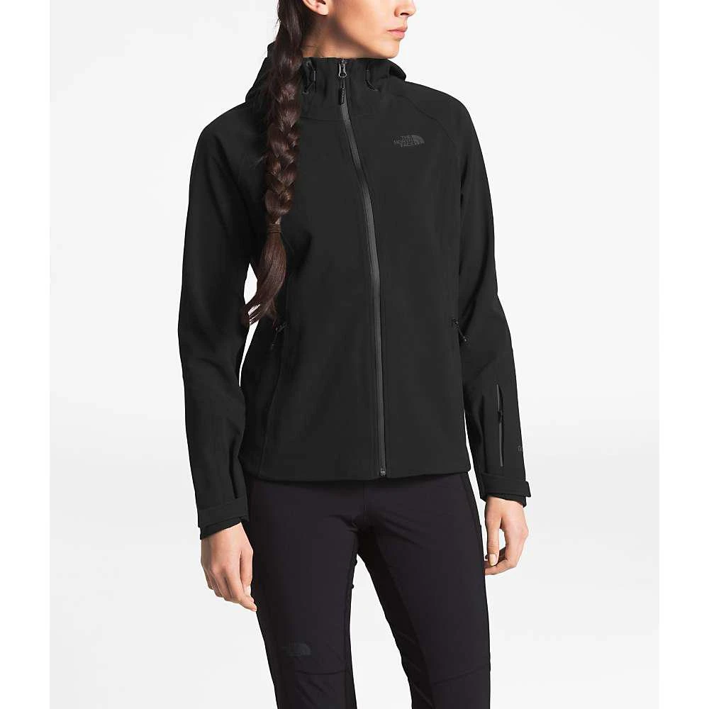 商品The North Face|The North Face Women's Apex Flex GTX Jacket 女款外套,价格¥849,第1张图片