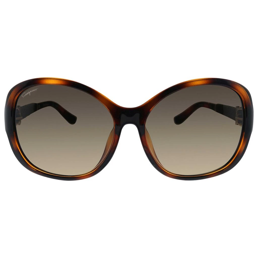 商品Salvatore Ferragamo|Ferragamo Women's Sunglasses SF744SLA-214-59,价格¥518,第2张图片详细描述