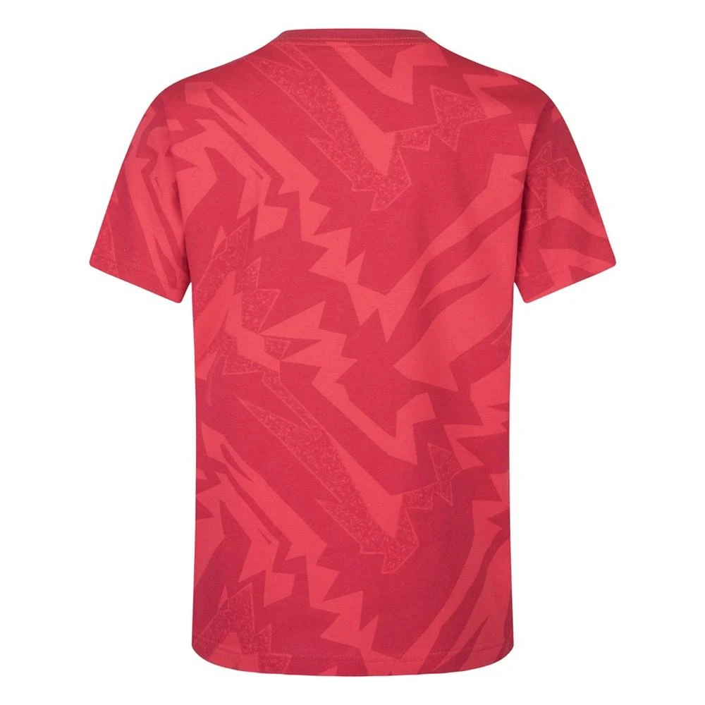 商品Jordan|Big Boys Essentials Graphic T-shirt,价格¥181,第2张图片详细描述