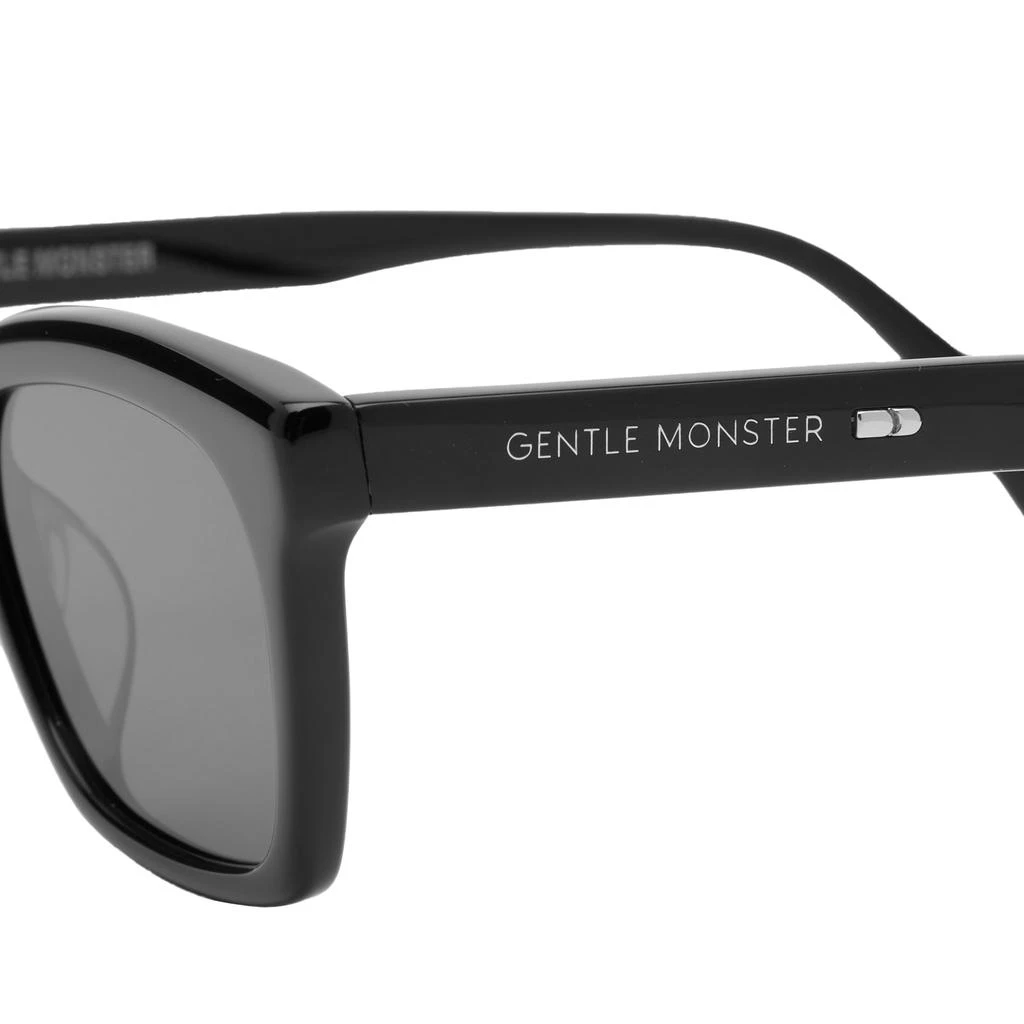 商品GENTLE MONSTER|Gentle Monster Didion Sunglasses,价格¥2110,第3张图片详细描述