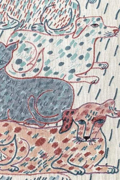 商品Olivia Wendel Textiles|Olivia Wendel Sprinkled Cat and Dogs Blanket,价格¥1461,第2张图片详细描述