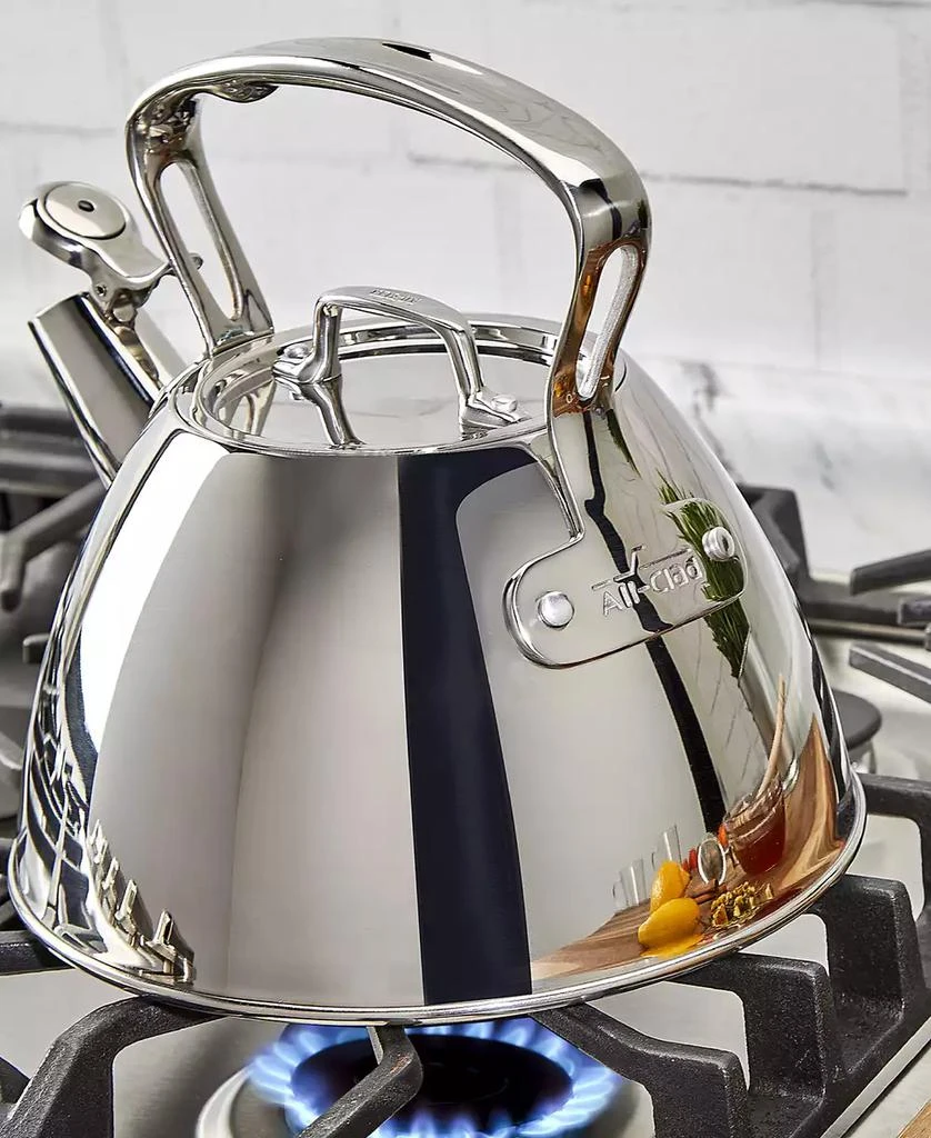 商品All-Clad|Stainless Steel Tea Kettle,价格¥893,第4张图片详细描述