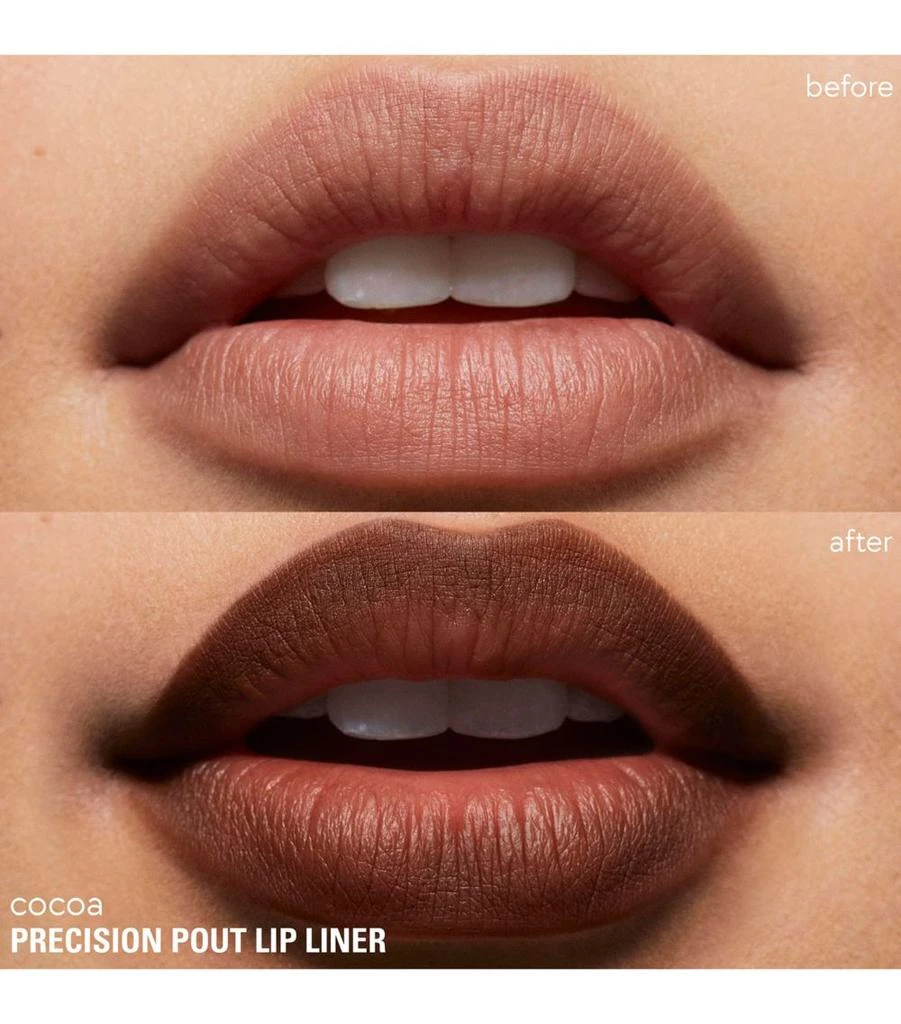 Precision Pout Lip Liner Gift Set 商品