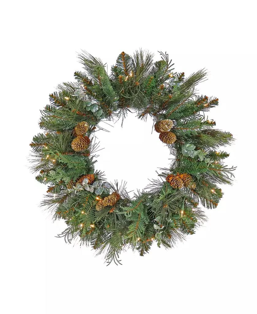 商品National Tree Company|First Traditions Collection 24" Pre-Lit Artificial North Conway Wreath with Glittery Cones and Eucalyptus,价格¥568,第1张图片