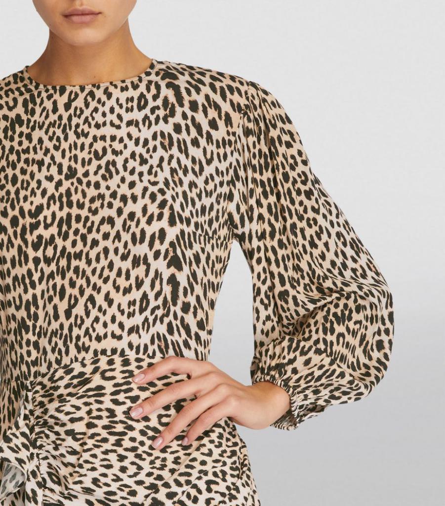 Leopard Print Ricata Mini Dress商品第4张图片规格展示