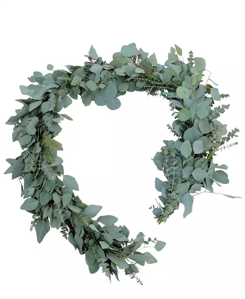 商品Magnolia Supply Co|Fresh Baby Blue and Silver Dollar Eucalyptus Garland, 6',价格¥748,第1张图片