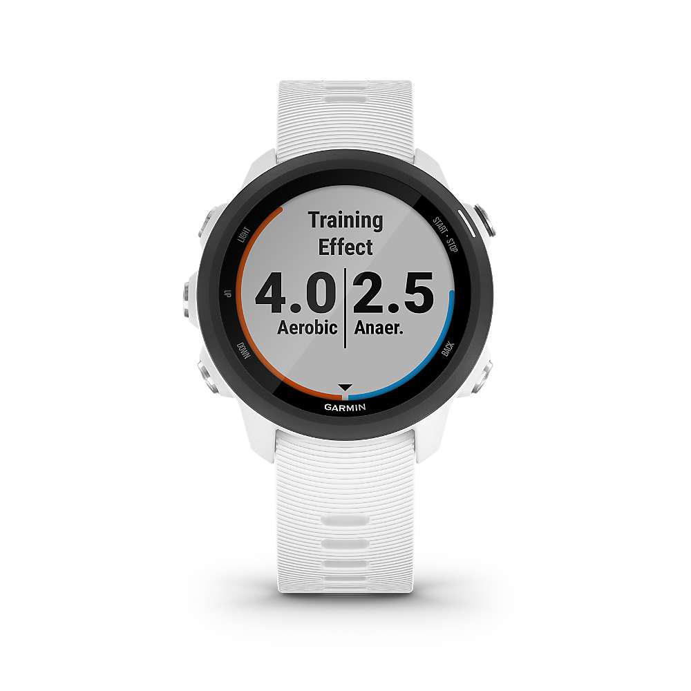 Garmin Forerunner 245 Music商品第3张图片规格展示