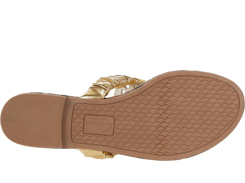 商品Sam Edelman|Camara,价格¥178,第3张图片详细描述