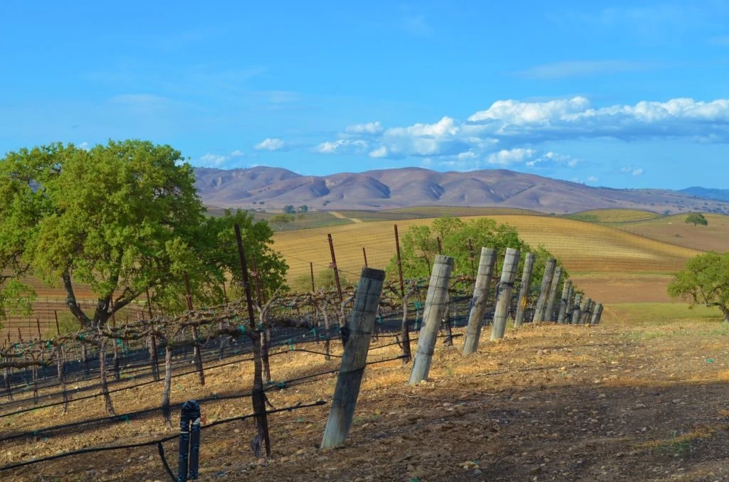 赫氏庄园丹魄干红葡萄酒 2013 | Hearst Tempranillo 2013 (Paso Robles, CA） 商品