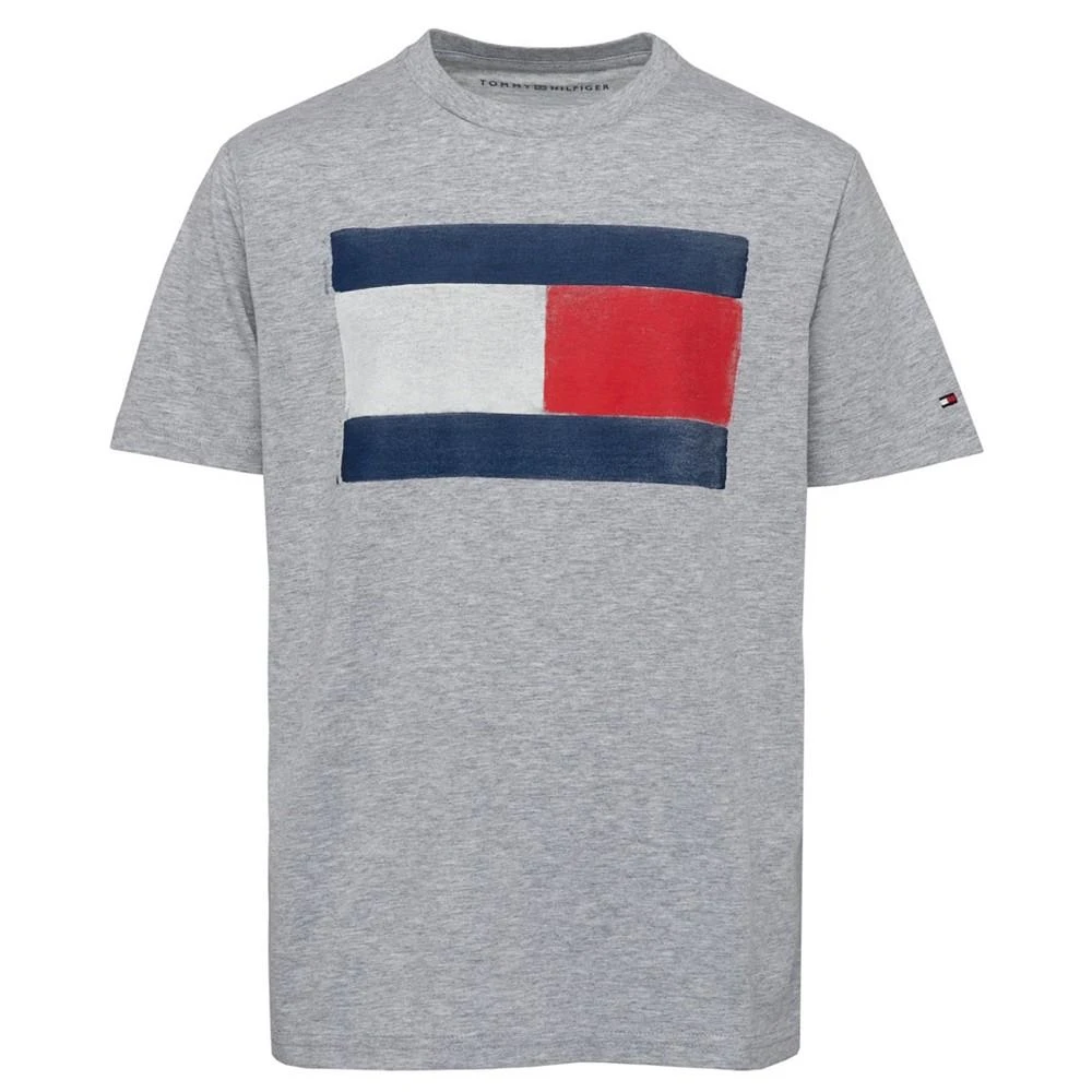商品Tommy Hilfiger|男童印花T恤,价格¥173,第1张图片