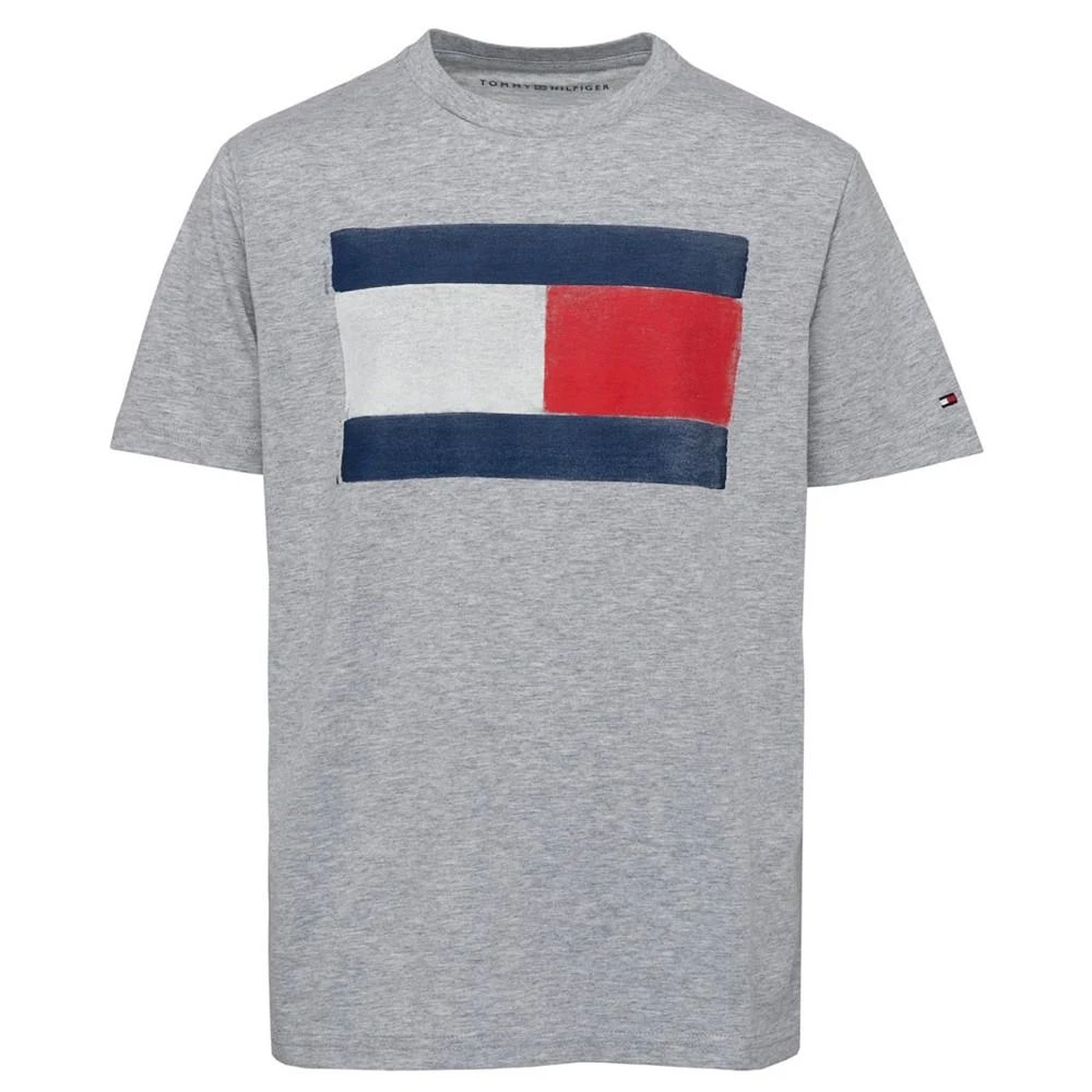 商品Tommy Hilfiger|男童印花T恤,价格¥189,第1张图片详细描述