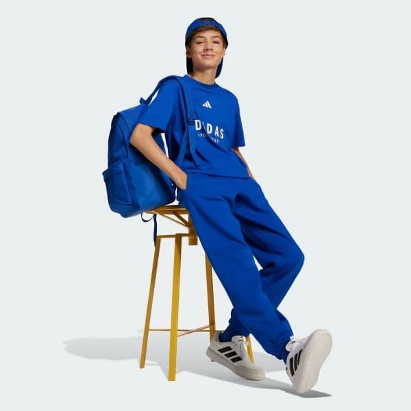 商品Adidas|J All Season GFX Pant,价格¥310,第3张图片详细描述