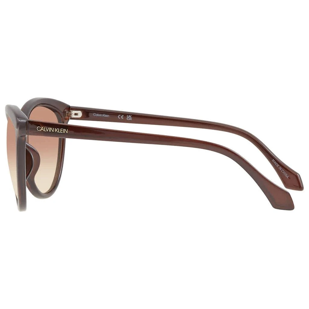 商品Calvin Klein|Brown Cat Eye Ladies Sunglasses CK19534S 210 58,价格¥224,第3张图片详细描述