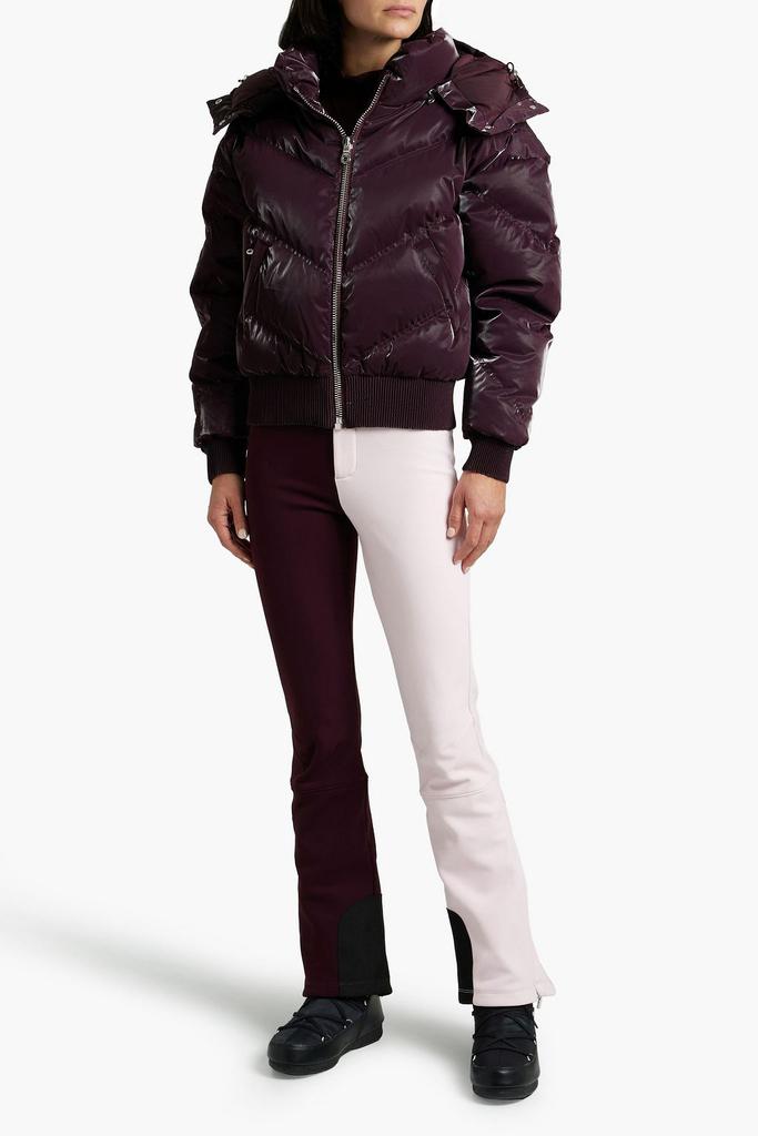 Niseko quilted hooded down ski jacket商品第4张图片规格展示
