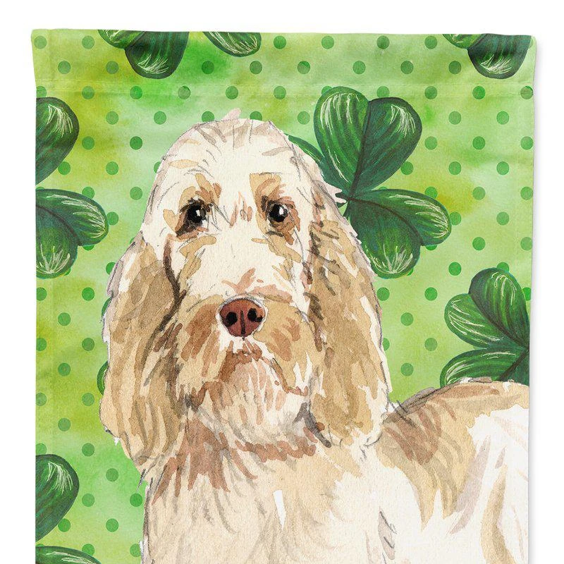 商品Caroline's Treasures|28 x 40 in. Polyester Shamrocks Spinone Italiano Flag Canvas House Size 2-Sided Heavyweight,价格¥325,第1张图片