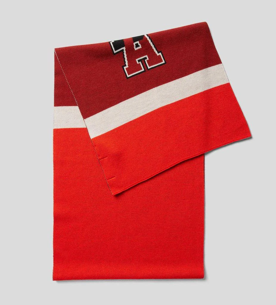商品Hugo Boss|HUGO BOSS Boss x Russell Athletic Floggy Scarf,价格¥1218,第3张图片详细描述