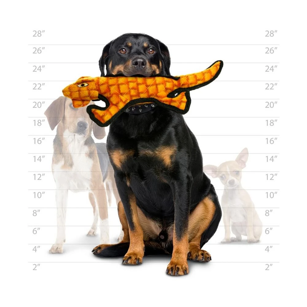 商品Tuffy|Desert Gila Monster, Dog Toy,价格¥152,第3张图片详细描述