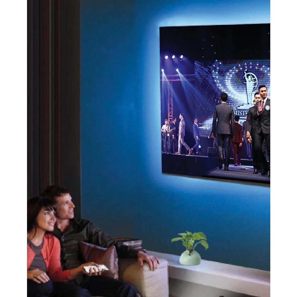 商品Gabba Goods|Color LED with Remote, 30',价格¥239,第3张图片详细描述