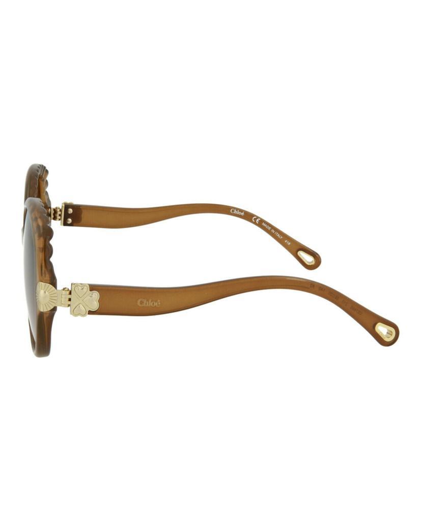 商品Chloé|Round-Frame Acetate Sunglasses,价格¥871,第5张图片详细描述