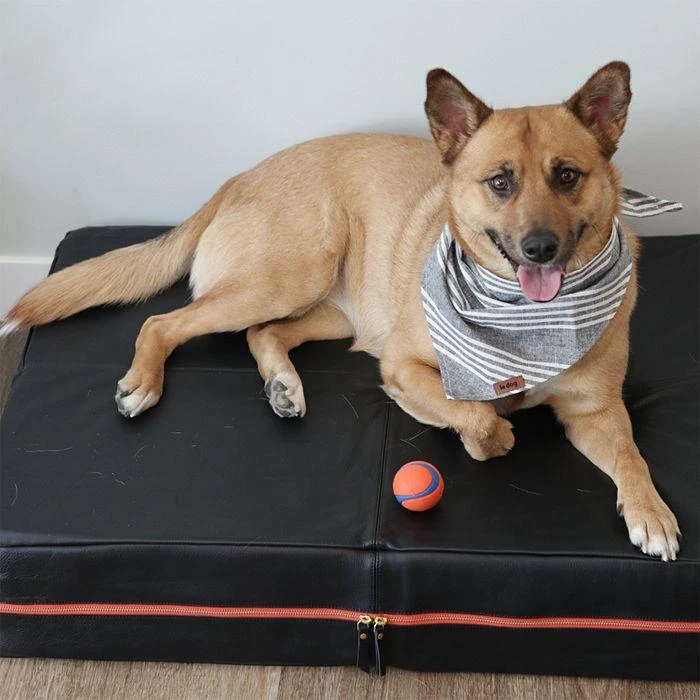 Leather Dog Bed 商品