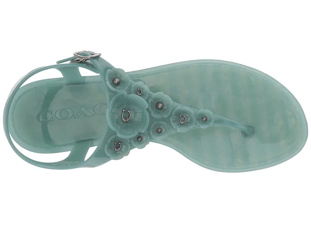 商品Coach|Tea Rose Jelly Sandal,价格¥443,第2张图片详细描述