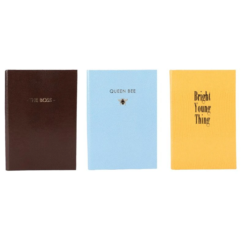 商品Sloane Stationery|The boss queen bee and bright young notebooks set in brown blue and yellow,价格¥961,第1张图片