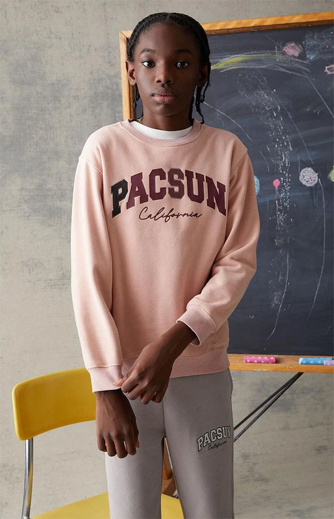 商品PacSun Kids|Light Pink Crew Neck Sweatshirt,价格¥224,第3张图片详细描述