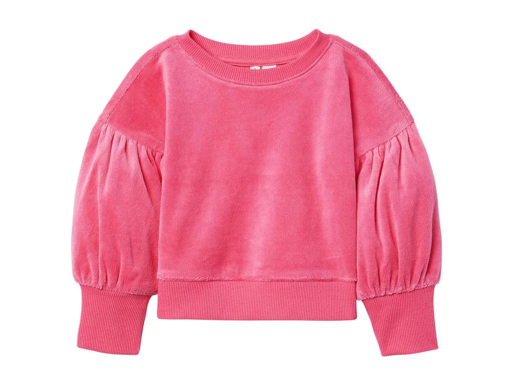 商品Janie and Jack|Velour Sweatshirt (Toddler/Little Kids/Big Kids),价格¥274,第1张图片