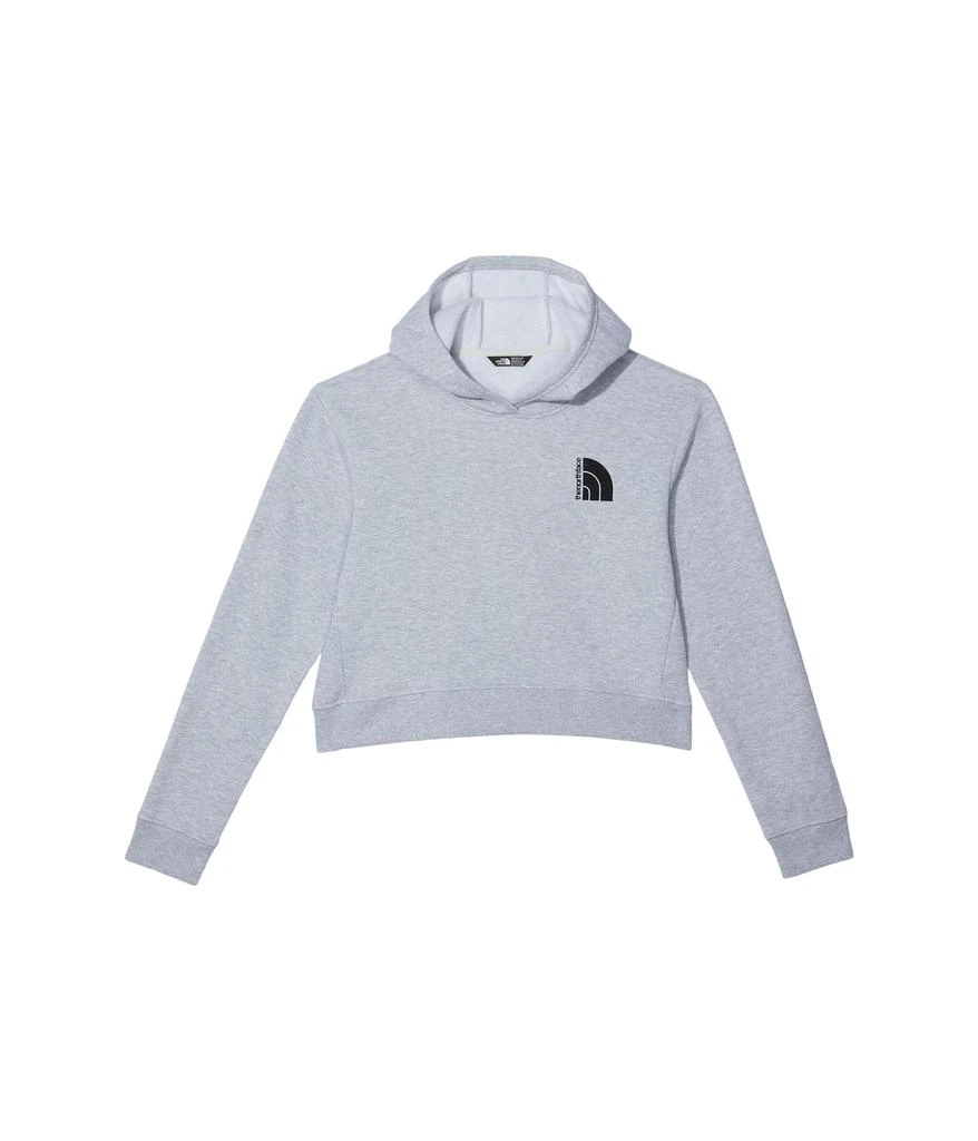 商品The North Face|Camp Fleece Pullover Hoodie (Little Kids/Big Kids),价格¥232,第1张图片详细描述