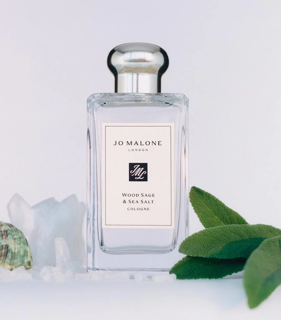 商品Jo Malone London|Wood Sage & Sea Salt Cologne (100ml),价格¥1106,第4张图片详细描述